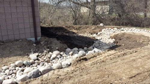 Winton Rain Garden 2014 (3)